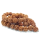 mala